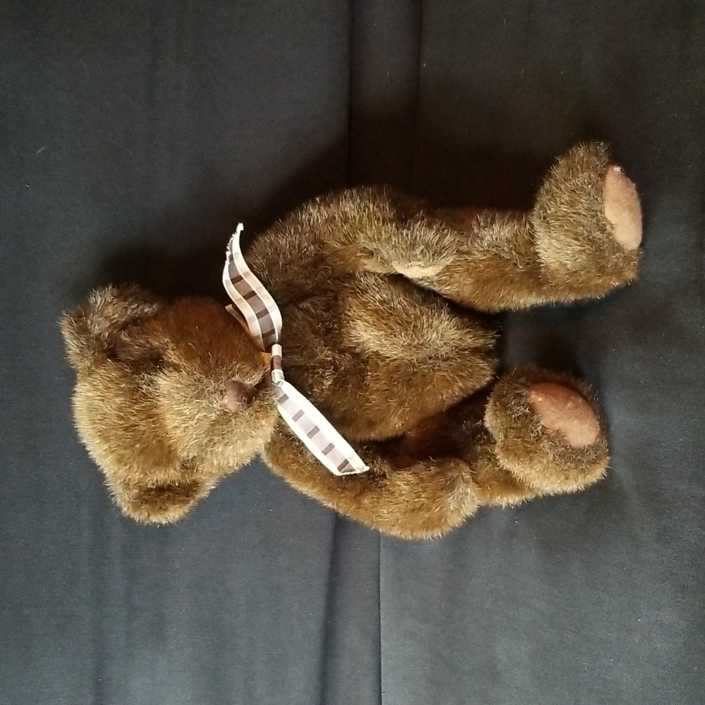Classic Teddy Bear